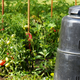 Illustration for article titled Five Types of Compost Bins That Turn Trash Into Treasure